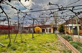 Casa de închiriat 4 camere Aleşd - 189103CI | BLITZ Oradea | Poza2