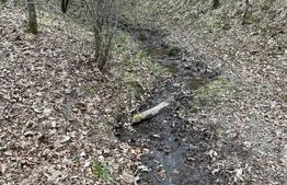 Teren extravilan de vanzare, 3.5 ha padure + pasune in Comuna Borod