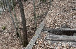 Teren extravilan de vanzare, 3.5 ha padure + pasune in Comuna Borod