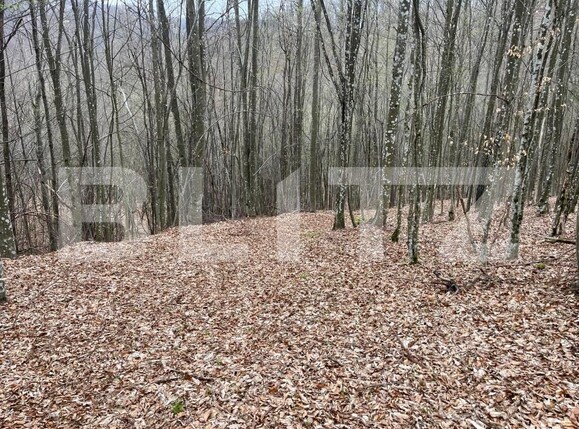 Teren de vânzare Aleşd - 191621TV | BLITZ Oradea | Poza9