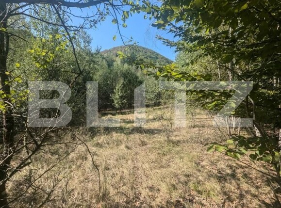 Teren de vânzare Aleşd - 191621TV | BLITZ Oradea | Poza3