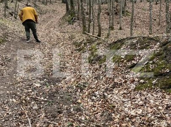 Teren de vânzare Aleşd - 191621TV | BLITZ Oradea | Poza6