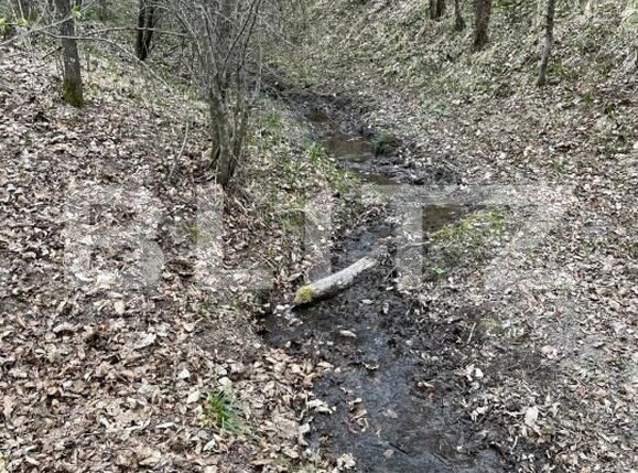 Teren de vânzare Aleşd - 191621TV | BLITZ Oradea | Poza2