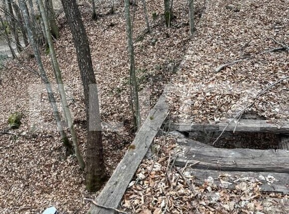 Teren de vânzare Aleşd - 191621TV | BLITZ Oradea | Poza10