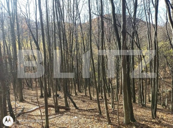 Teren de vânzare Aleşd - 191621TV | BLITZ Oradea | Poza1