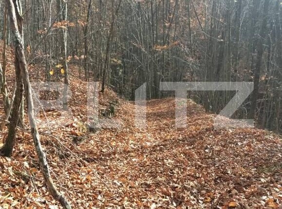 Teren de vânzare Aleşd - 191621TV | BLITZ Oradea | Poza7