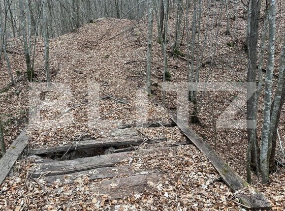 Teren de vânzare Aleşd - 191621TV | BLITZ Oradea | Poza8