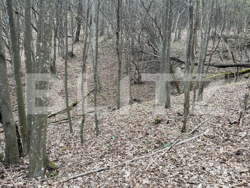 Teren de vânzare Aleşd - 191621TV | BLITZ Oradea | Poza5