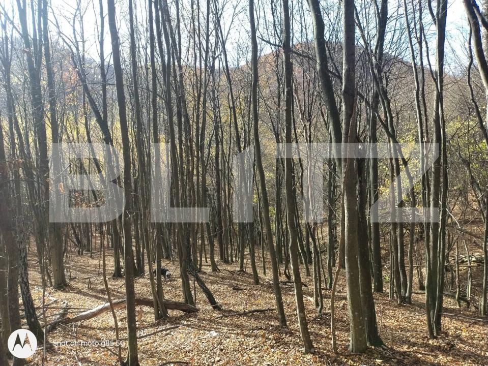 Teren de vânzare Aleşd - 191621TV | BLITZ Oradea | Poza3