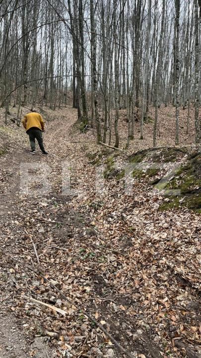 Teren de vânzare Aleşd - 191621TV | BLITZ Oradea | Poza6