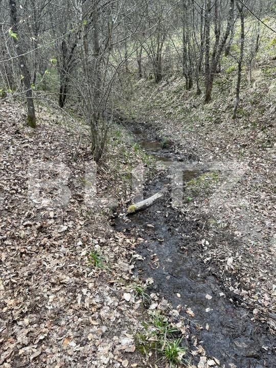 Teren de vânzare Aleşd - 191621TV | BLITZ Oradea | Poza2