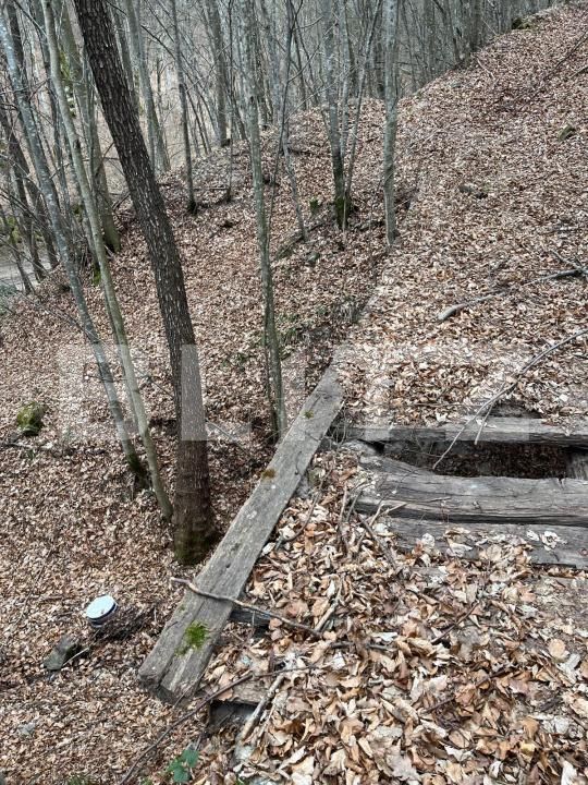 Teren de vânzare Aleşd - 191621TV | BLITZ Oradea | Poza10