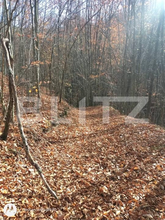 Teren de vânzare Aleşd - 191621TV | BLITZ Oradea | Poza7