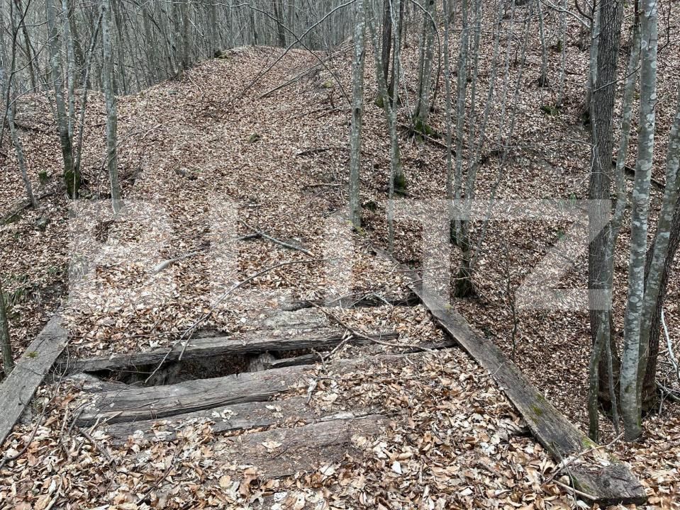 Teren de vânzare Aleşd - 191621TV | BLITZ Oradea | Poza8