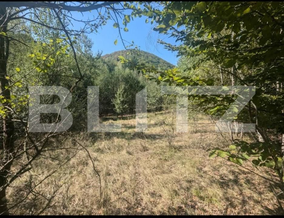 Teren de vânzare Aleşd - 191621TV | BLITZ Oradea | Poza2