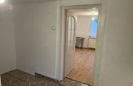 Doua case intr-o curte de 952 mp, Paleu-liniste, spatiu,  potential langa Oradea