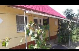 Doua case intr-o curte de 952 mp, Paleu-liniste, spatiu,  potential langa Oradea