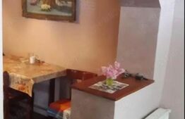 Doua case intr-o curte de 952 mp, Paleu-liniste, spatiu,  potential langa Oradea