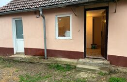 Doua case intr-o curte de 952 mp, Paleu-liniste, spatiu,  potential langa Oradea