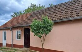 Doua case intr-o curte de 952 mp, Paleu-liniste, spatiu,  potential langa Oradea