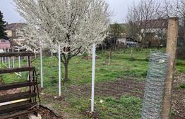 Doua case intr-o curte de 952 mp, Paleu-liniste, spatiu,  potential langa Oradea