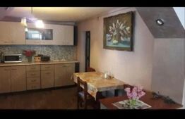 Doua case intr-o curte de 952 mp, Paleu-liniste, spatiu,  potential langa Oradea