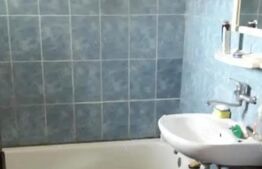 Doua case intr-o curte de 952 mp, Paleu-liniste, spatiu,  potential langa Oradea