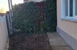 Vand casa in Oradea, intr-o zona linistita, aproape de parc