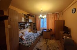Apartament cu o camera, de vanzare