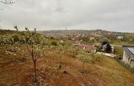 Casă Oncea, teren 1988 mp, 4 dormitoare, mobilată și utilată, 3 garaje