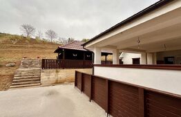 Casă Oncea, teren 1988 mp, 4 dormitoare, mobilată și utilată, 3 garaje