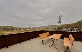 Casă Oncea, teren 1988 mp, 4 dormitoare, mobilată și utilată, 3 garaje