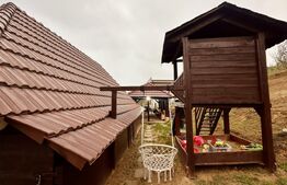 Casă Oncea, teren 1988 mp, 4 dormitoare, mobilată și utilată, 3 garaje