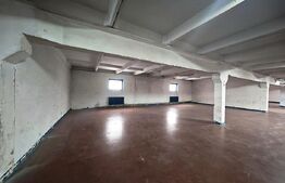 Hală industrială, Soseaua Borșului, Oradea – 360 000 €+TVA