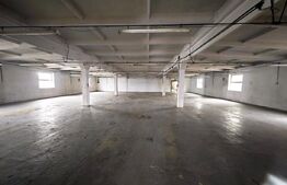 Hală industrială, Soseaua Borșului, Oradea – 360 000 €+TVA