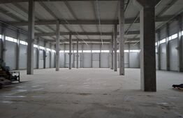 Hală de producție / depozitare — Oradea, Bihor
