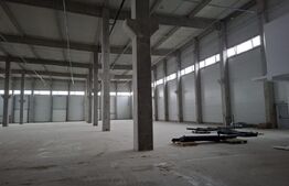 Hală de producție / depozitare — Oradea, Bihor