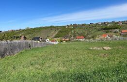 Teren intravilan de vanz, parcelabil in Oradea, utilitati la limita proprietatii