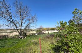 Teren intravilan de vanzare, 483 mp, zona Episcopia Bihor