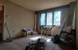 Apartament cu 3 camere de vânzare, central - Oradea