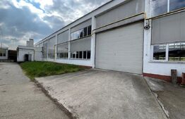 Hala de vanzare, productie sau depozitare, la 50 km de Oradea