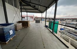 Hala de vanzare, productie sau depozitare, la 50 km de Oradea