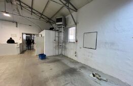 Hala de vanzare, productie sau depozitare, la 50 km de Oradea
