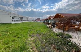 Hala de vanzare, productie sau depozitare, la 50 km de Oradea