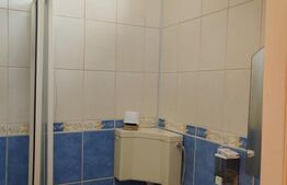 Apartament de vanzare, 2camere + spatiu de birouri, Ultracentral