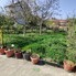 Apartament de vânzare 2 camere Ultracentral - 192829AV - Poza 1 din 9 | BLITZ Oradea | Poza5