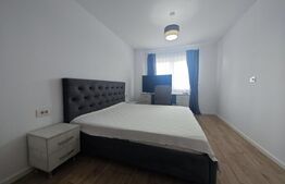 Apartament 2 camere, LUX Prima Oneștilor
