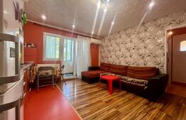 Apartament modern zona - Rogerius, mobilat si utilat complet