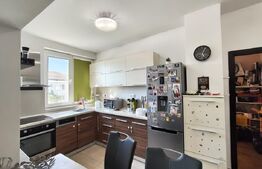 Apartament 3 camere, langa Pod Decebal, open space, fara investitii