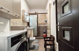 Apartament 3 camere, langa Pod Decebal, open space, mobilat mutabil